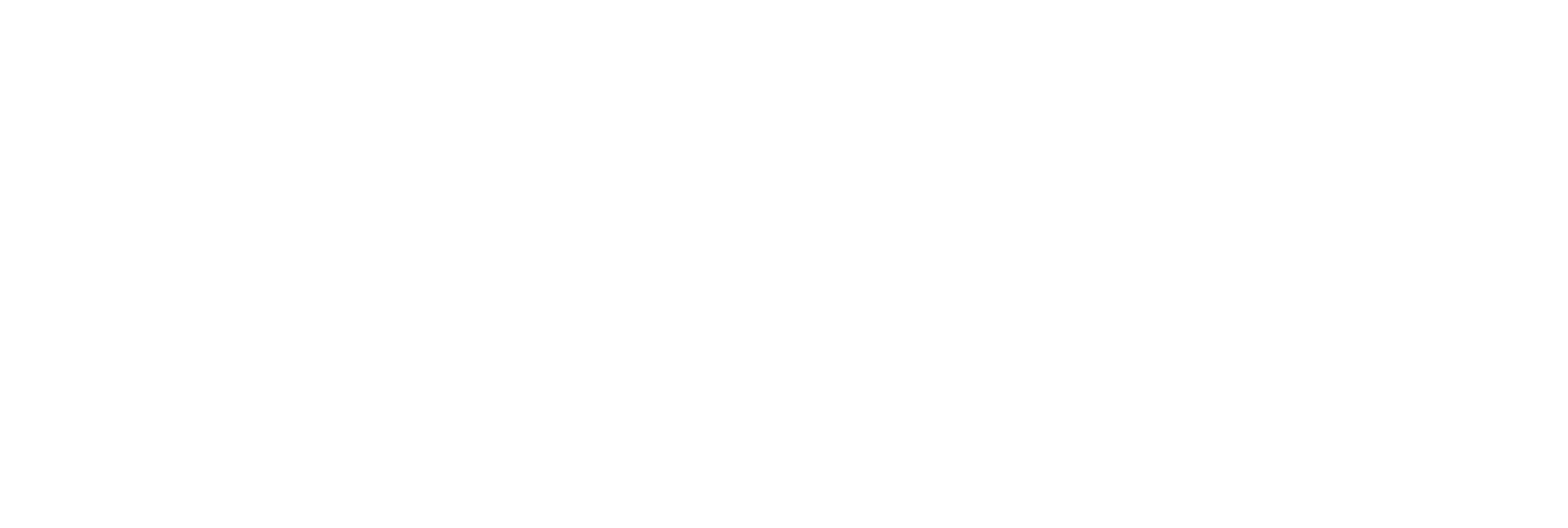Erfolgsimpulse_Logo5